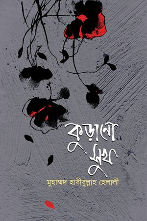 কুড়ানো সুখ